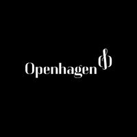 Openhagen Interior Design For Musical Instruments